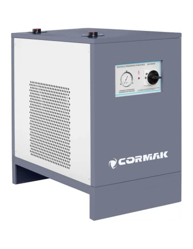 Sušička stlačeného vzduchu IZBERG N30S